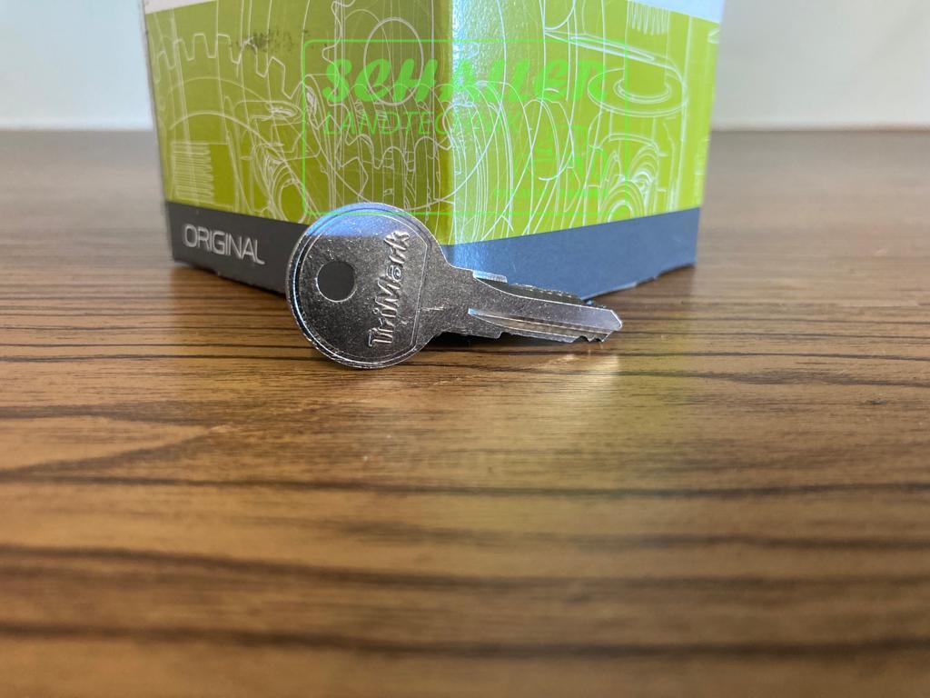 Kabinenschlüssel Celtis, Axos